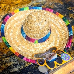 Pet Sombrero